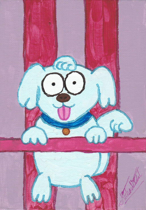 Blue baby pooch