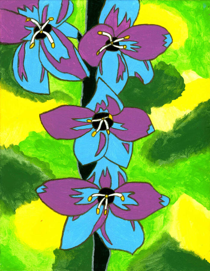 Blue violet dapls