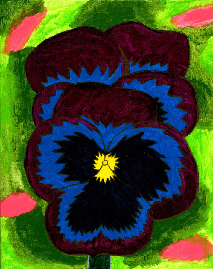 Blue Pansy